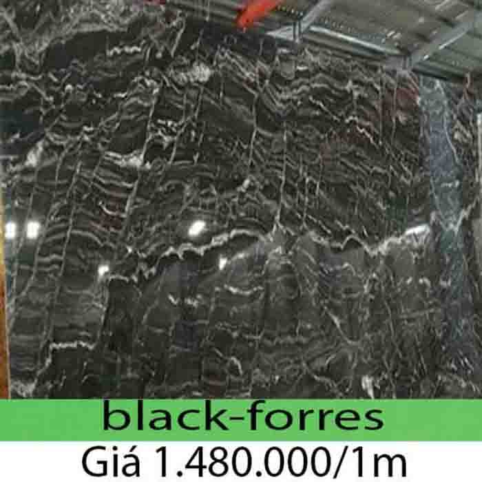 Đá hoa cương black forres Đá hoa cương black forres